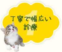 1 丁寧で幅広い診療