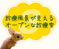 3 診療風景が見えるオープンな診療室